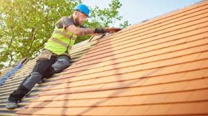Best Roof Moss and Algae Removal  in North College Hill, OH