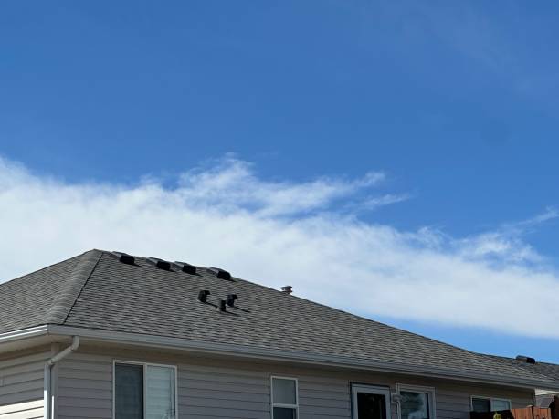 Best Chimney Flashing Repair  in North College Hill, OH